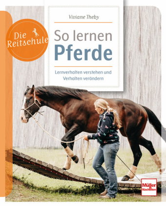 So lernen Pferde