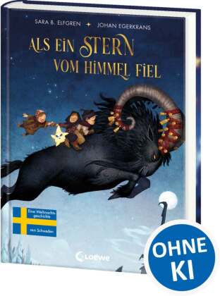Als ein Stern vom Himmel fiel