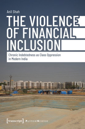 The Violence of Financial Inclusion