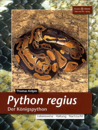 Python regius