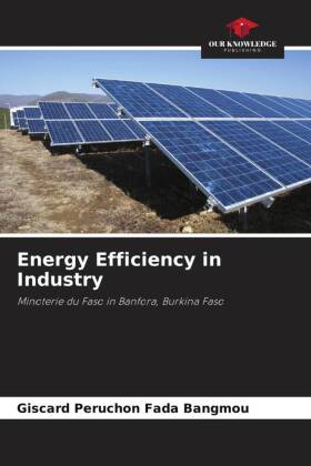 Energy Efficiency in Industry