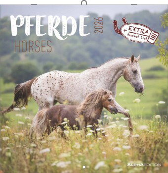 Alpha Edition - Pferde Kalender 2026 - Wandkalender & Bildkalender 30x30 cm - Für Reit- & Pferdefreu