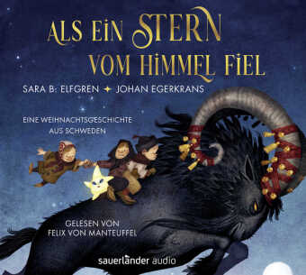 Als ein Stern vom Himmel fiel, 2 Audio-CD