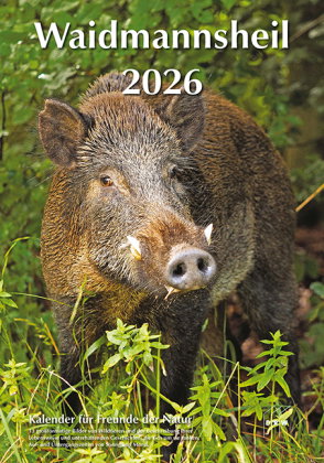 Waidmannsheil 2026