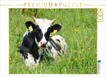 CALVENDO Puzzle Nachwuchs in der Rinderherde | 1000 Teile Lege-Größe 64x48cm Foto-Puzzle für glückli