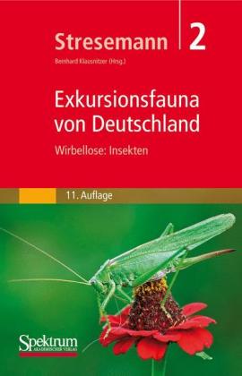 Wirbellose: Insekten