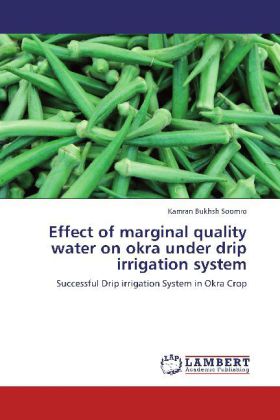 Effect of marginal quality water on okra under drip irrigation system