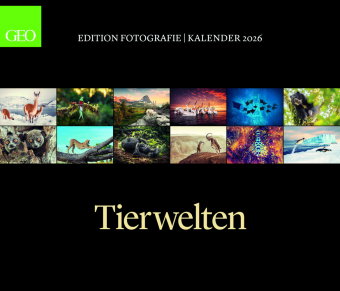 GEO - GEO Edition: Tierwelten 2026 - Wandkalender 70x60 cm, Tier-Poster-Kalender mit Wildlife-Fotog