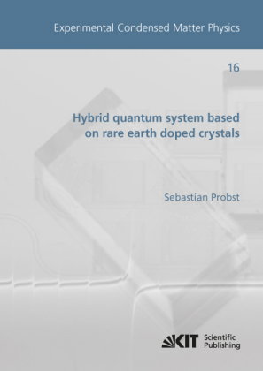 Hybrid quantum system based on rare earth doped crystals