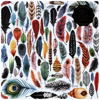 Feathers 500 Piece Foil Puzzle