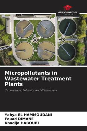 Micropollutants in Wastewater Treatment Plants