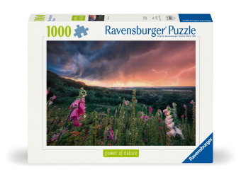 Erwachsenenpuzzle 1000 Teile - Ein Sturm zieht auf