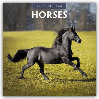 Horses - Pferde 2027 - 16-Monatskalender