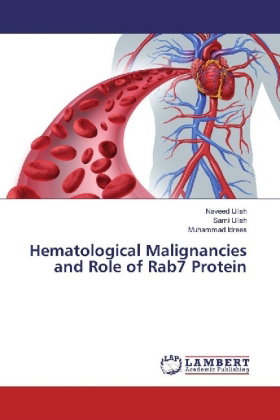 Hematological Malignancies and Role of Rab7 Protein