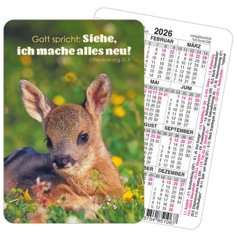 Spielkartenkalender 2026