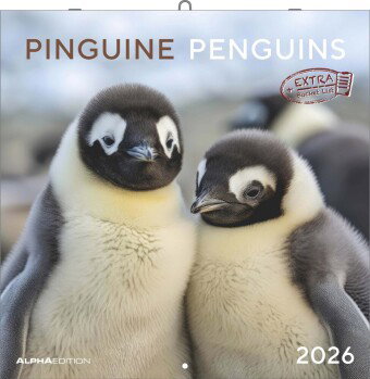 Alpha Edition - Pinguine Kalender 2026 - Broschürenkalender 30×30 cm (30×60 geöffnet) mit 12 Tiermot