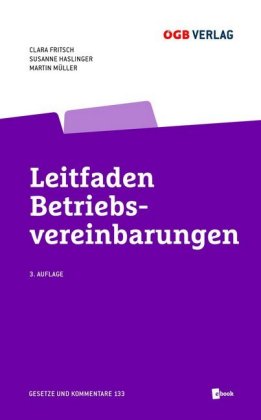 Leitfaden Betriebsvereinbarungen