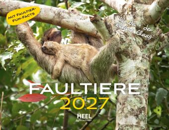 Faultiere Kalender 2027 Eintragkalender