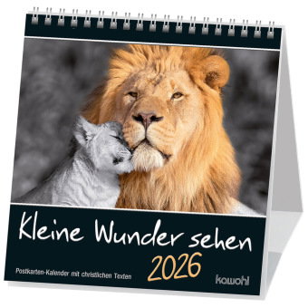 Kleine Wunder sehen 2026