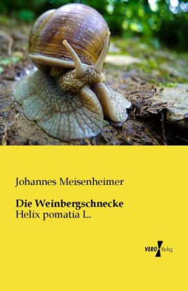 Die Weinbergschnecke