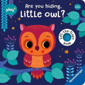 Play+ Are you hiding, little owl?