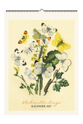 Schmetterlinge. Wandkalender 2027