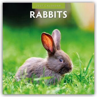 Rabbits - Hasen - Kaninchen 2027 - 16-Monatskalender