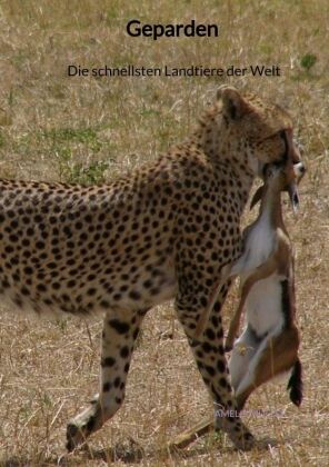 Geparden - Die schnellsten Landtiere der Welt