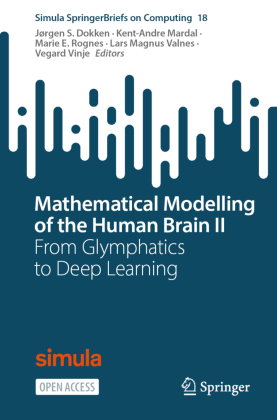 Mathematical Modelling of the Human Brain II