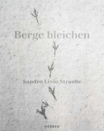 Sandro Livio Straube