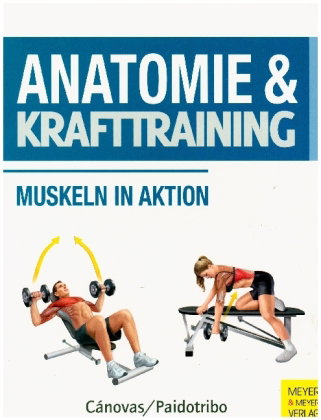 Anatomie & Krafttraining