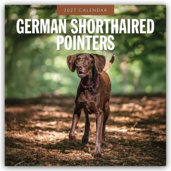 German Shorthaired Pointers - Deutscher Kurzhaar - Deutscher Kurzhaariger Vorstehhund 2027 - 16-Mona