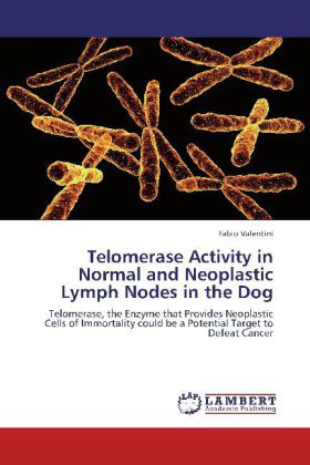 Telomerase Activity in Normal and Neoplastic Lymph Nodes in the Dog