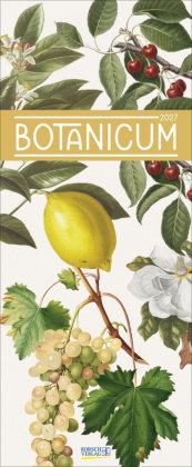Botanicum 2027