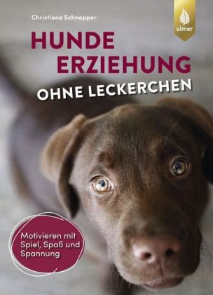 Hundeerziehung ohne Leckerchen