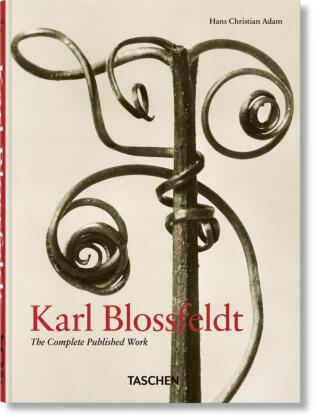 Karl Blossfeldt