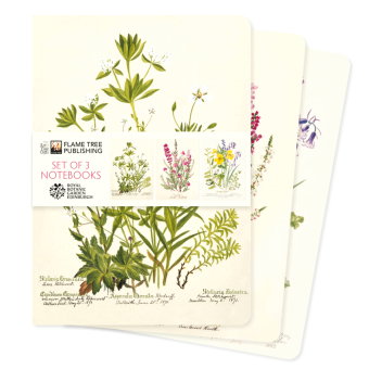 Dreier Set DIN-A5-Format-Notizbücher: Royal Botanic Garden Edinburgh