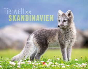 Tierwelt Skandinavien Kalender 2027