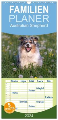 Familienplaner 2024 - Australian Shepherd mit 5 Spalten (Wandkalender, 21 x 45 cm) CALVENDO
