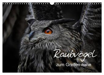 Raubvögel zum Greifen nahe (Wandkalender 2024 DIN A3 quer), CALVENDO Monatskalender