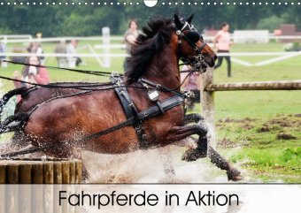 Fahrpferde in Aktion (Wandkalender 2019 DIN A3 quer)