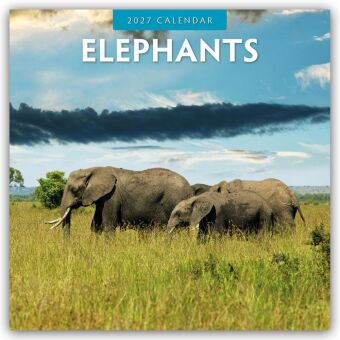 Elephants - Elefanten 2027 - 16-Monatskalender