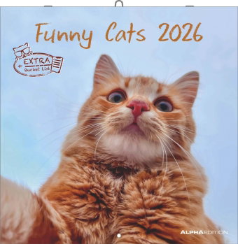 Alpha Edition - Funny Cats Kalender 2026 - Wandkalender 30x30 cm - Lustiger Katzenkalender für Katze