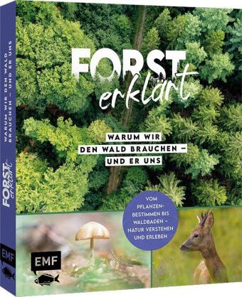 Forst erklärt: Warum wir den Wald brauchen - und er uns
