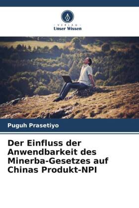 Der Einfluss der Anwendbarkeit des Minerba-Gesetzes auf Chinas Produkt-NPI