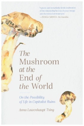 The Mushroom at the End of the World - On the Possibility of Life in Capitalist Ruins