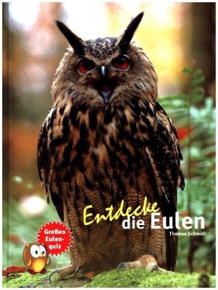 Entdecke die Eulen