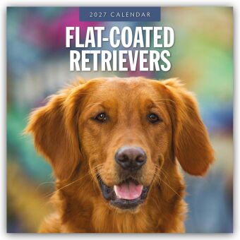 Flat-Coated Retrievers - Flat Coated Retriever 2027 - 16-Monatskalender