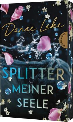 Splitter meiner Seele