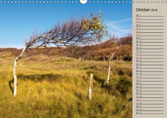 NORDERNEY Geburtstagskalender mit Planerfunktion (Wandkalender 2018 DIN A3 quer)
